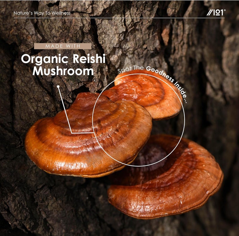 ALPHA01 Reishi Mushroom Drops - High Strength 50% Polysaccharides Reishi Extract Supplement (Not Capsules) - 60ml (1 Month Supply) - Vegan & Vegetarian Friendly - by Alpha01 - Image 4