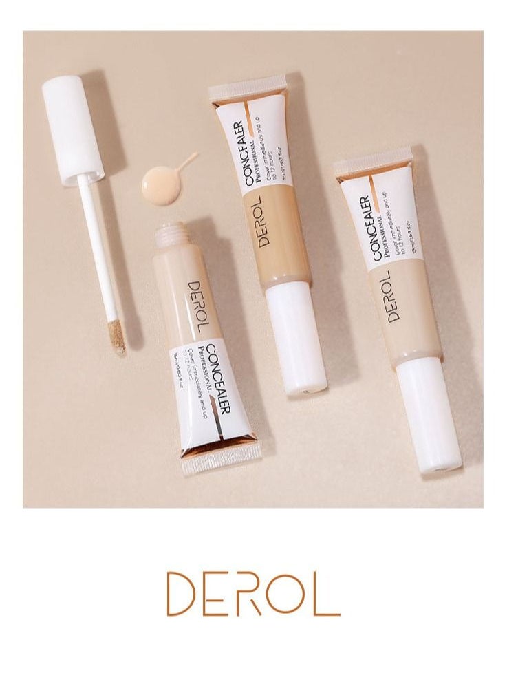 DEROL - Inspiration Painter High-Efficiency Concealer - Image 1