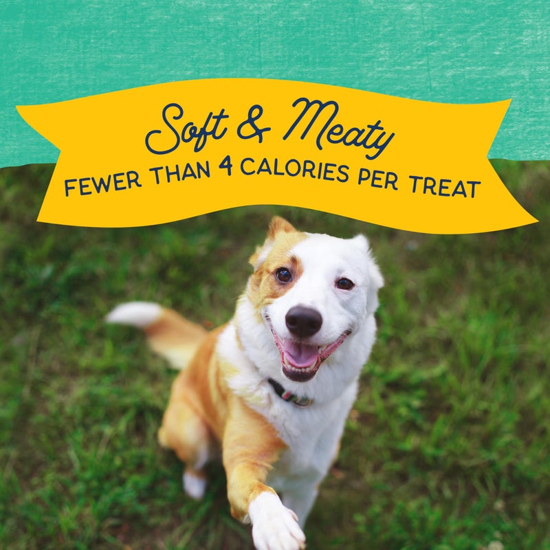 Natural Balance Limited Ingredient Mini-Rewards Chicken Grain-Free, Training Treats for Dogs | 5.3-oz. Canister - Image 3