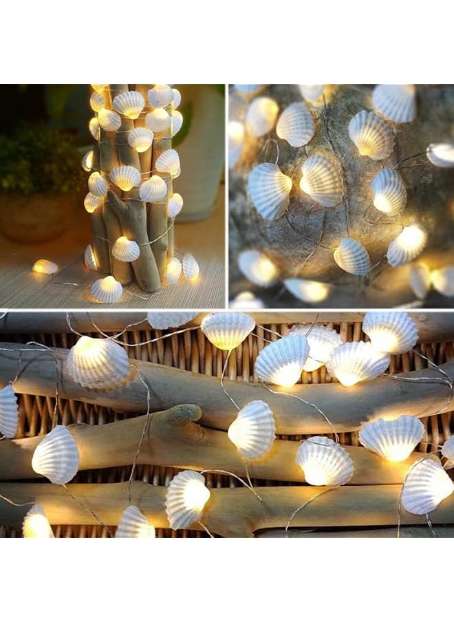 إيروريكس - سلسلة أضواء LED من Ocean Real Seashell مقاس 0.8 بوصة و40 مصباحًا بطول 13.85 قدمًا تعمل بالبطارية ومقاومة للماء باللون الأبيض الدافئ مع مؤقت وجهاز تحكم عن بعد لتزيين حفلات أعياد الميلاد المغطاة الداخلية والخارجية - Image 1