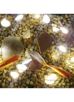 إيروريكس سلسلة أضواء LED من Ocean Real Seashell مقاس 0.8 بوصة و40 مصباحًا بطول 13.85 قدمًا تعمل بالبطارية ومقاومة للماء باللون الأبيض الدافئ مع مؤقت وجهاز تحكم عن بعد لتزيين حفلات أعياد الميلاد المغطاة الداخلية والخارجية  - Image 3
