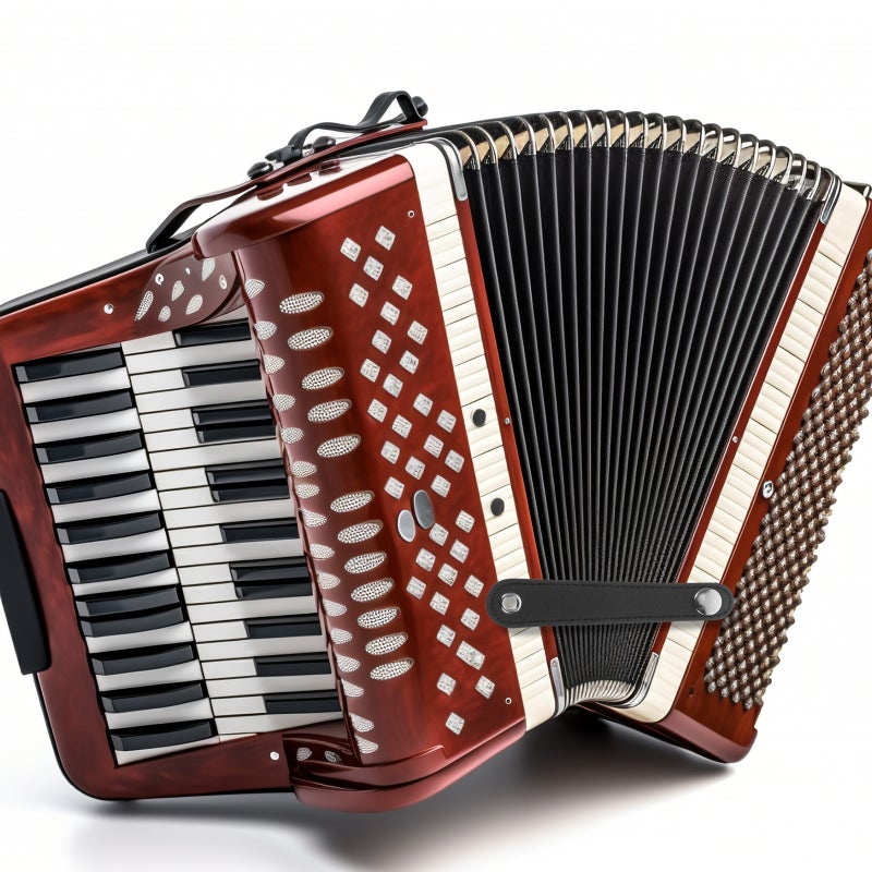 1 Set Universal Leather Accordion Accessory Bellows Buckle Belts for Accordion Fixation - Image 4
