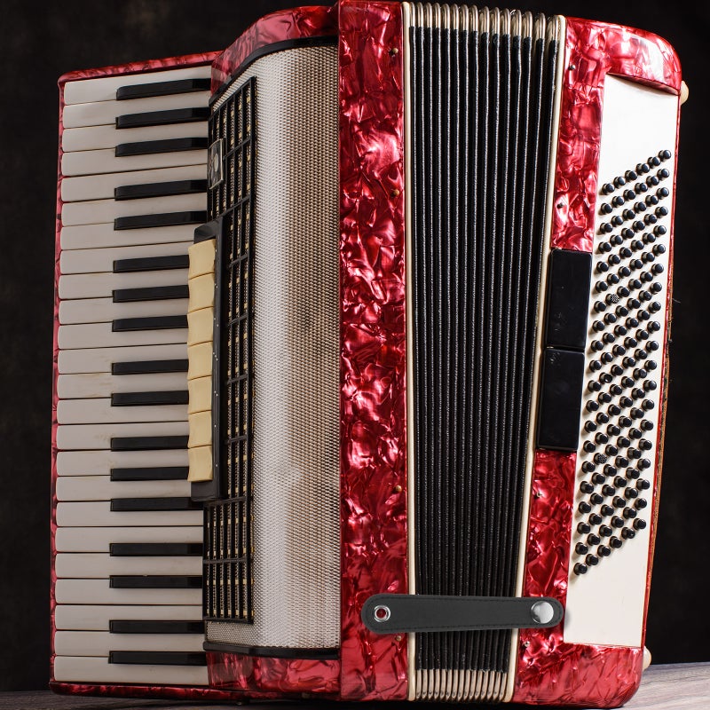 1 Set Universal Leather Accordion Accessory Bellows Buckle Belts for Accordion Fixation - Image 3