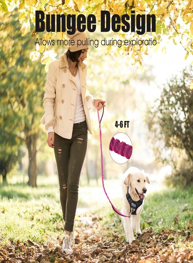BUMBIN 6Ft Dog Leash Large Dogs, Bungee Dog Leash with 2 Handles, Heavy Duty Leashes for Medium Small Dogs, No Pull Shock Absorbing，with Car Seat Belt for Training, Pink - Image 2