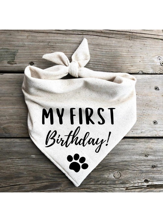 باندانا كلب عيد ميلادي الأول، أسود (كبير) - Image 2