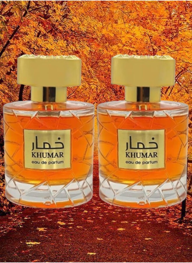 Wadi Al Khaleej 2 Pieces Khumar Wadi Al Khaleej EDP 100ML  - Image 1