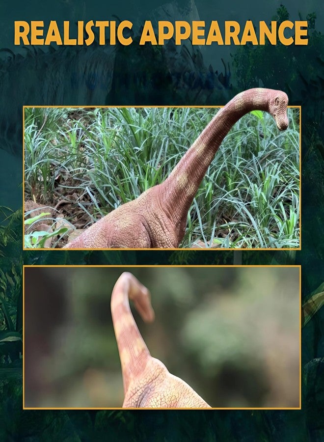 CRYA Brachiosaurus Toy Dinosaur Action Figure, Realistic Brachiosourus Big Dinosaurs Toys for Kids, Brachiosaurus Dinosaur Toy for Play and Display, Jurassic Dino Toys for Boys & Girls (Brachiosaurus) - Image 2