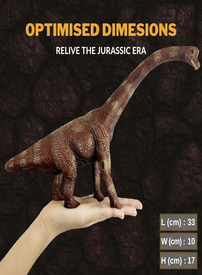 CRYA Brachiosaurus Toy Dinosaur Action Figure, Realistic Brachiosourus Big Dinosaurs Toys for Kids, Brachiosaurus Dinosaur Toy for Play and Display, Jurassic Dino Toys for Boys & Girls (Brachiosaurus) - Image 5