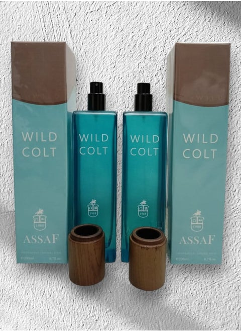 ASSAF WILD COLT 200*2