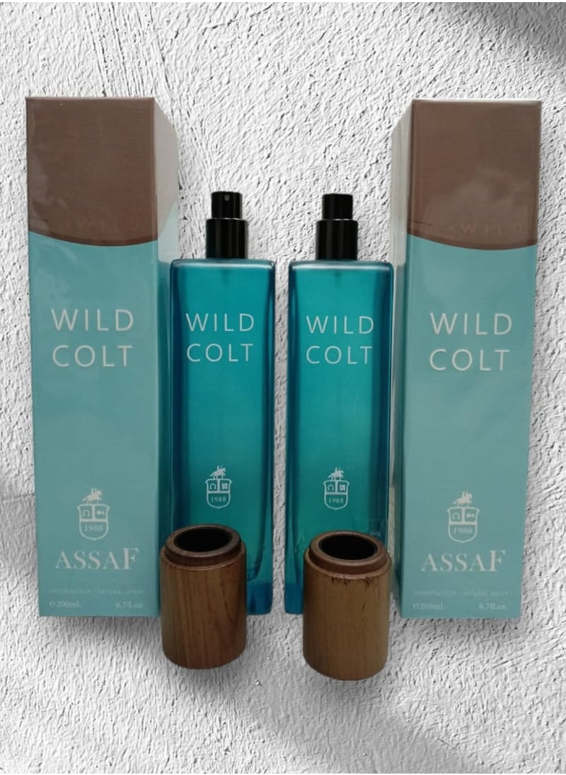 ASSAF WILD COLT 200*2