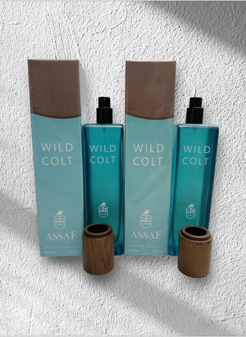 ASSAF WILD COLT 200*2