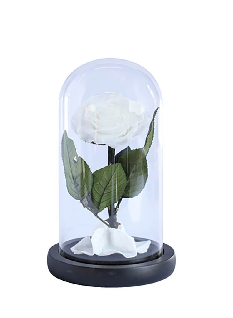 Si Bonne Preserved Forever White Rose in Luxury Glass Dome 14*23 - Eternal Flower Gift for Women's Day, Valentine's Day, Wedding Anniversary, and Birthday - Image 1