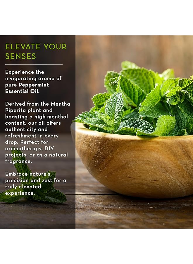 erorex Peppermint Essential Oil 4 Fl Oz Pure And Undiluted Mentha Piperita Oil Therapeutic Grade Aromatherapy Oil For Diffuser Relaxation And Focus  - Image 2