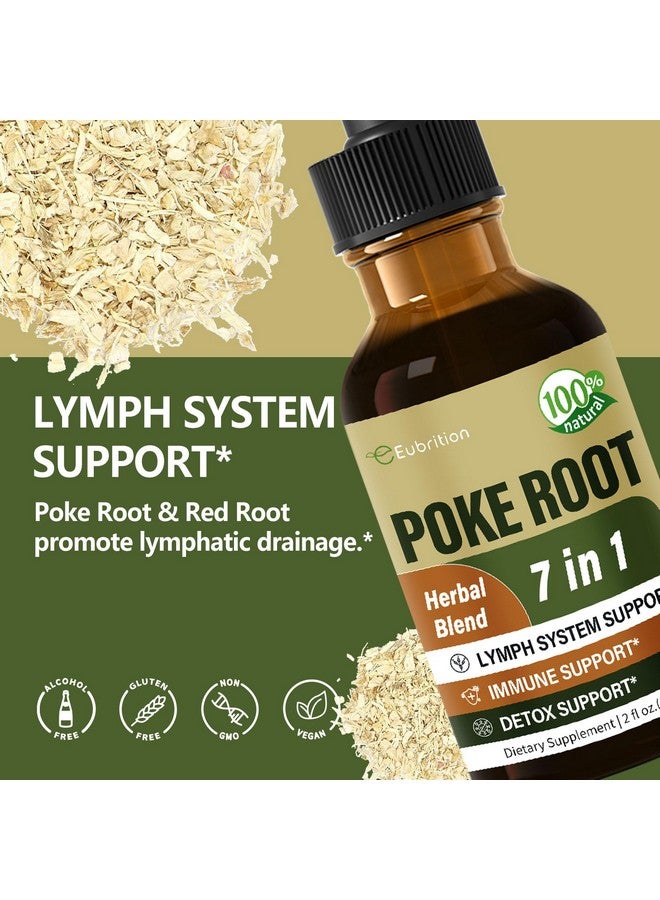 Eubrition Poke Root Drops for Lymph System Support, Lymphatic Drainage Supplement for Lymphedema, 7 in 1 Formula with Goldenseal Extract for Immune Support, Dandelion for Detox & Cleanse. 2oz