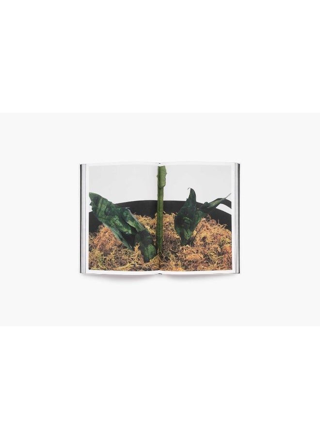 Kandis Williams  - Image 5