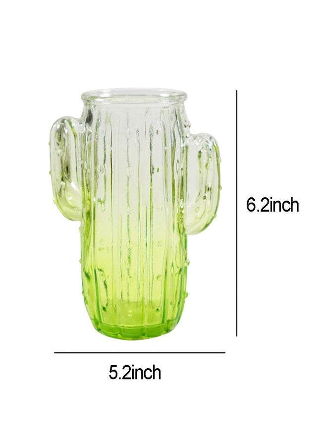 123Arts Glass Vase Cactus Shape Vase Table Decoration Ornament - Image 2