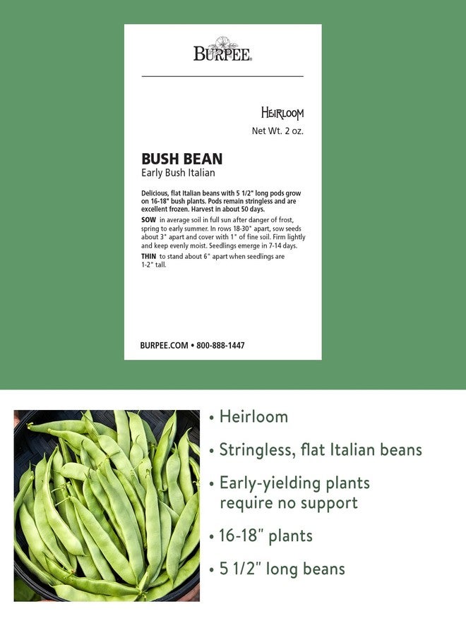 Burpee Early Italian Bush Bean Seeds 2 ounces of seed - Image 2