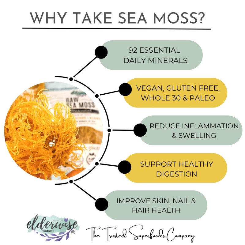 Elderwise Organics Made With Love Elderwise Raw Sea Moss | Organic Seamoss Makes 20oz of Gel | Wildcrafted Golden Sea moss | Raw & Non GMO Certified | Sundried | Mineral and Vitamin Rich | Golden - Image 3