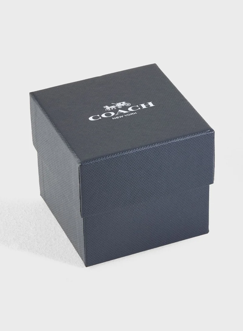 COACH Park Watch