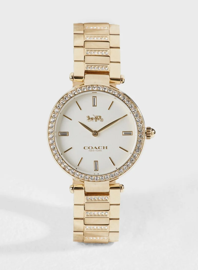 COACH Park Watch