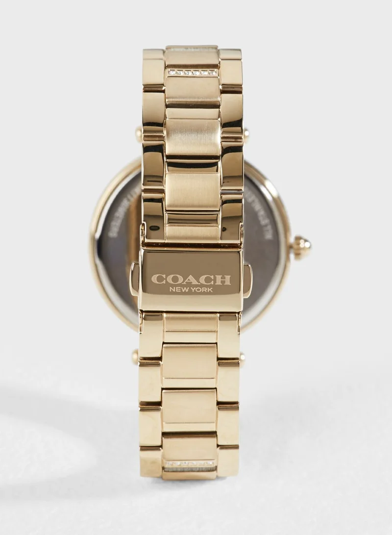 COACH Park Watch
