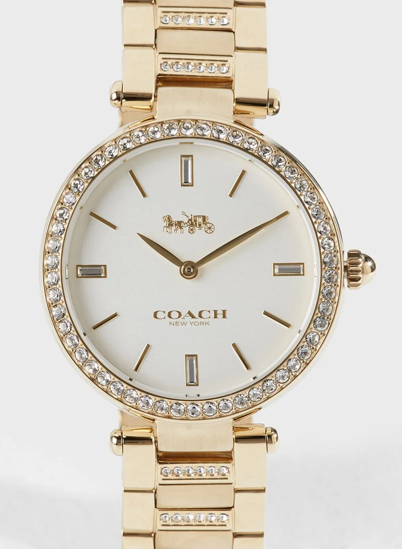 COACH Park Watch