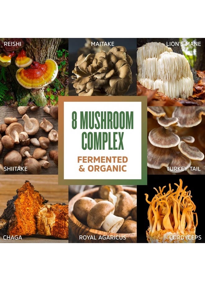 Zhou Nutrition - Zhou Nutrition 8-Plex Organic Mushroom Powder, Support Cognitive and Immune Health, Increase Energy, Endurance & Overall Wellness, Lions Mane, Reishi & Turkey Tail, 30 Servings - 2.14 Oz - Image 1