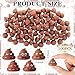 JellyArch 100 Pcs Mini Poop Figurines 5 Styles Tiny Poo Toys Brown Small Fake Poop Figures for Easter Egg Fillers Prank Hide Seek Goodie Bags Piata Stuffers Party Supplies Gifts - Image 4