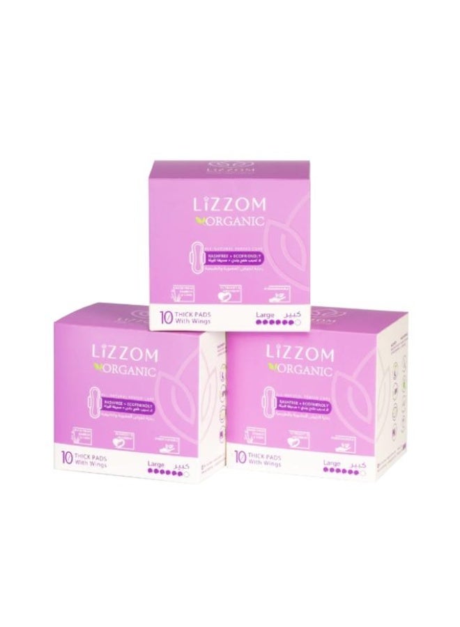 Sanitary Pads Thick Night (Large) -3 x 10Pcs