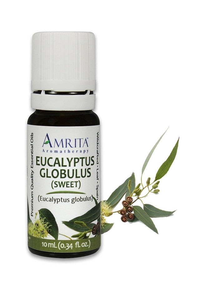Amrita Aromatherapy Eucalyptus Globulus Sweet Essential Oil, 100% Pure Undiluted Eucalyptus globulus, Therapeutic Grade, Premium Quality Aromatherapy oil, Tested & Verified, 10ML - Image 1