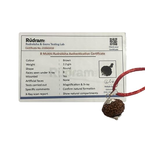 HaridwarDivine 8 Mukhi With Silver Pandent 8 Faces Rudraksha With Red Tread Add QR Code To Verify Authenticity Of This Rudraksha - Image 2