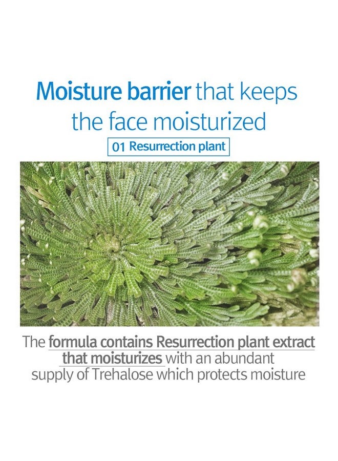 Pyunkang Yul Kids & Baby Lotion Moisturizer With Vitamin C Ceramide Hyaluronic Acid Lecithin Cica Calming Hydrating Soothing Moisturizing Cream For All Skin Types Fragrance Free 19.9 Fl.Oz. - Image 3