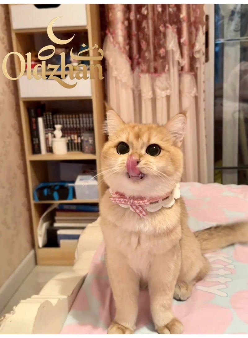 Oldzhan Sweet cat scarf, soft collar, pet accessory, bowknot, kitten scarf, collar, dog drool scarf（pink) - Image 1