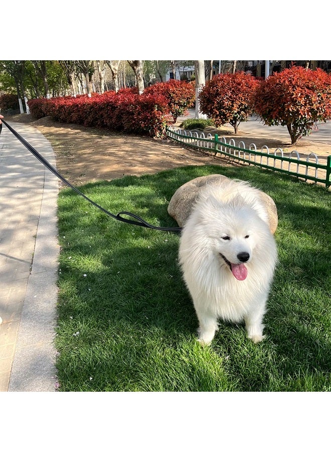 Joytale Double Handle Dog Leash, Double-Sided Reflective Dog Leashes for Night Safety, Heavy Duty Leash for Large and Extra Large and Medium Breed Dogs Outside Walking,6FT,Black - Image 3