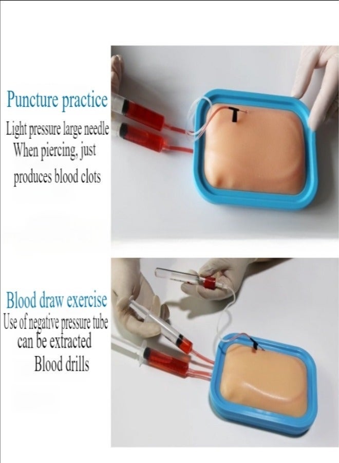 IV Insertion Practice Kit for Nursing Students, IV Startup Kit for Nurses, Injection Training Venipuncture Kit - Image 2