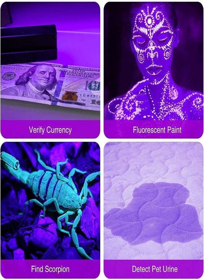 Generic - EXCEFORE, 2 Pack UV Flashlights, 12 LED 395nm Blacklight Flash Light, Mini UV Light Torch Detector for Dog Pet Urine Stains, Bed Bugs and Scorpions, Batteries not Included - Image 1