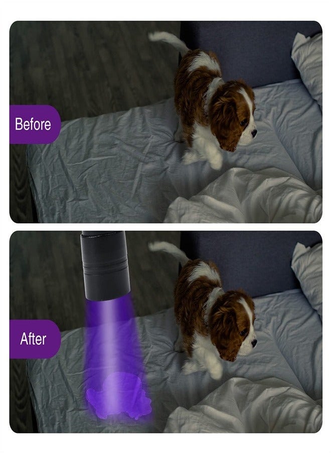 Generic - EXCEFORE, 2 Pack UV Flashlights, 12 LED 395nm Blacklight Flash Light, Mini UV Light Torch Detector for Dog Pet Urine Stains, Bed Bugs and Scorpions, Batteries not Included - Image 1