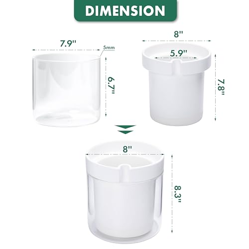 Phoenix Vine 8 Inch Self Watering Planter, White Terracotta Clay Pot with Glass Reservoir for Indoor Plants, Herbs, Flowers, Set of 1, 52-B-H-1 - Image 3