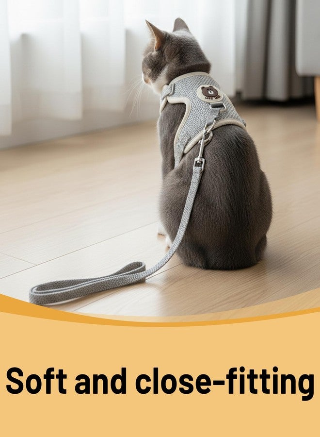 RupeeRise 2 Pcs Cat Harness and Leash Set, Adjustable Cat Belt for Persian and Indoor Cats, Lightweight Pet Vest for Urban Walks, Park Visits and Night Adventures, 120cm Leash with Comfortable Fit - Image 3