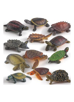 Excefore Tortoise Wild Animal Model Figure Playsets, 12 PCS Realistic ...