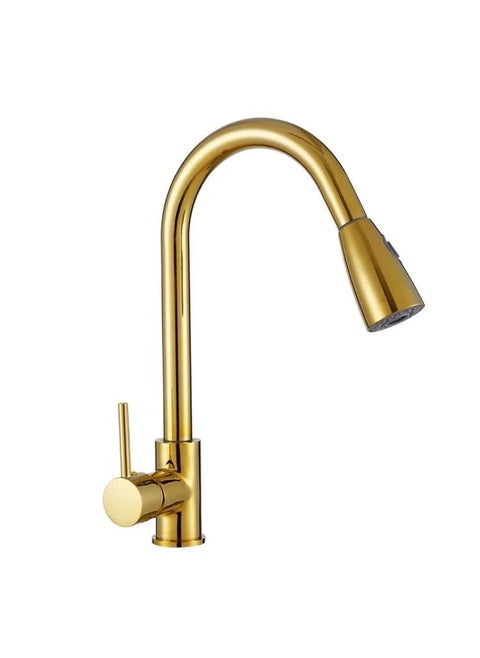 Shop Clozer Store PullDown Kitchen Tap Faucet Comes with Dual Water System 360 Swivel Good for Use Single Linver Controll Hot and Cold Water Mixer Golden