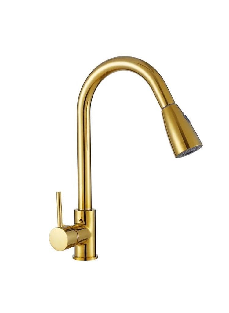 Shop Clozer Store PullDown Kitchen Tap Faucet Comes with Dual Water System 360 Swivel Good for Use Single Linver Controll Hot and Cold Water Mixer Golden