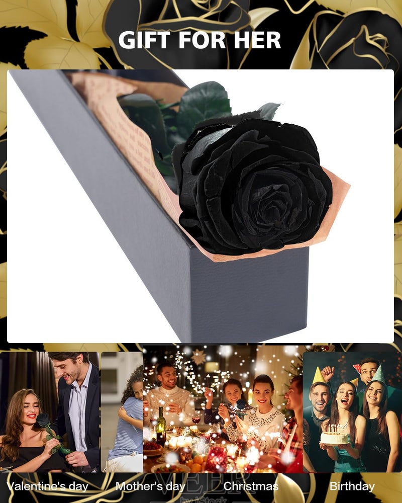 YAMPP Black Preserved Flowers Gifts for Women: Roses for Birthday Wedding Gift for Girlfriend Wife Grandma Mom - Image 2