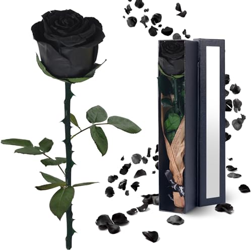 YAMPP Black Preserved Flowers Gifts for Women: Roses for Birthday Wedding Gift for Girlfriend Wife Grandma Mom - Image 1