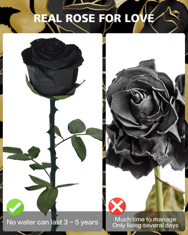 YAMPP Black Preserved Flowers Gifts for Women: Roses for Birthday Wedding Gift for Girlfriend Wife Grandma Mom - Image 3