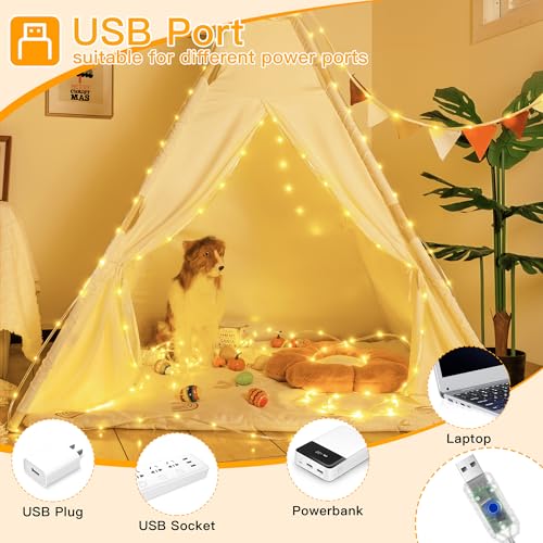 Ollny USB Rope Lights Outdoor Color Changing with Remote, 33FT 100 LED Waterproof String Lights, 18 Colors Fairy Christmas Light for Indoor Bedroom Party Garden Wedding Holiday Decorations - Image 2