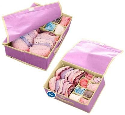 SKYLII SKYLII Lingerie Storage Box Organizer 151 Multi Compartment Cell NonSmell Foldable Lingerie Storage Box With Lid NonWoven Drawer Dividers for Bra Panty Scarfs Tie Underwear etc 2 pc Pink grey - Image 5