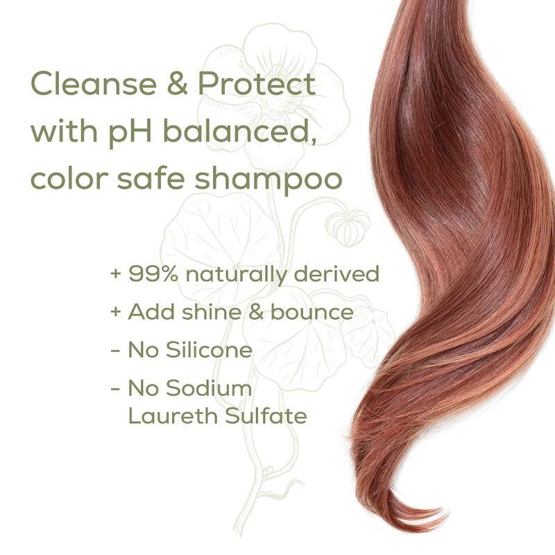 Naturtint Color Care Shampoo for Color-Treated, Dry, or Normal Hair, Formulated to Retain Vibrancy without Parabens, Sodium Lauryl Sulfate or Sodium Laureth Sulfate - Image 4
