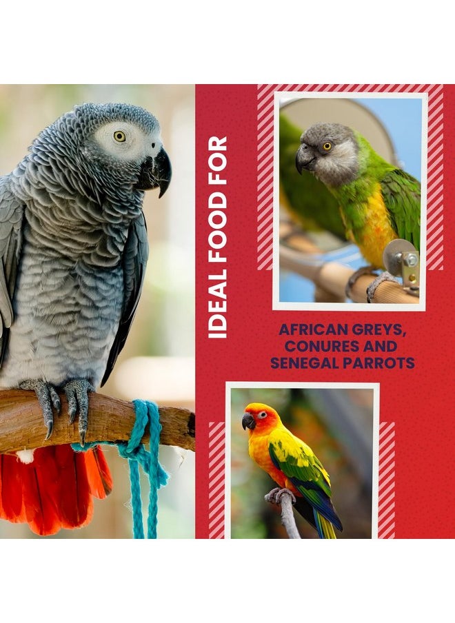 ABBA - ABBA 1400 Premium Bird Food for African Grey, Conure, and Senegal Parrot, Bird Seed Blend with Whole Eggs, Fruits and Nuts - Packed with Protein, Vitamins & Minerals, 5 lbs - Image 1