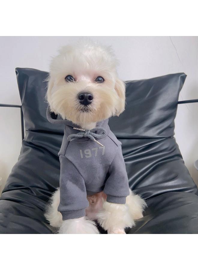 Bluejw Autumn And Winter Pet Clothes Dog Cat Warm Letter Reflective Small Dog Teddy Schnery Fashion Brand Sweatshirt - Image 5